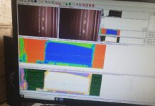 Contenedor salió limpio de Puerto Cortés, asegura la Empresa Nacional Portuaria de Honduras