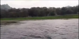 Honduras busca recuperar lago sobreexplotado y contaminado con apoyo de la Unión Europea