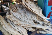 Gobierno desautoriza cualquier incremento al precio del pescado