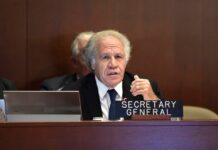 Estados Unidos y la OEA condenaron la detención arbitraria de los dos miembros del equipo de campaña de María Corina Machado