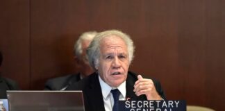 Estados Unidos y la OEA condenaron la detención arbitraria de los dos miembros del equipo de campaña de María Corina Machado