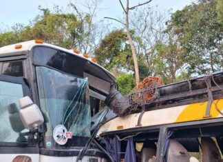 Dictan auto de formal procesamiento con prisión preventiva en contra de conductor y cobrador del accidente en San Juan de Opoa