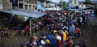 Más de la mitad de migrantes que cruzaron México en 2023 sufrieron abusos, señala la Acnur
