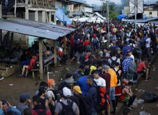 Más de la mitad de migrantes que cruzaron México en 2023 sufrieron abusos, señala la Acnur