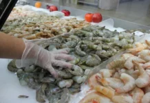 Hasta el 13 de abril un juez mexicano revisará el caso de exportación de camarón hondureño