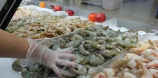 Hasta el 13 de abril un juez mexicano revisará el caso de exportación de camarón hondureño