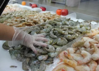 Hasta el 13 de abril un juez mexicano revisará el caso de exportación de camarón hondureño