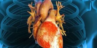 El ayuno intermitente dispara un 91% el riesgo de muerte por enfermedad cardiovascular