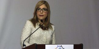 Ana Hall busca la reelección como presidenta del Consejo Nacional Electoral