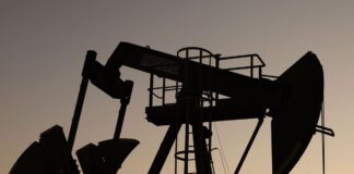 La OPEP sostiene que el consumo petrolero mundial subirá un 2.2 % en 2024