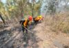 Comando Bosques de las FFAA sigue lucha contra incendios forestales en varios puntos del país