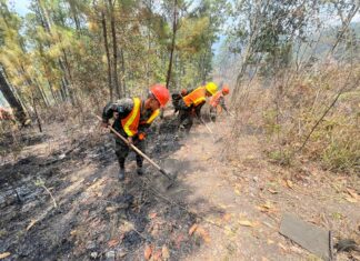 Comando Bosques de las FFAA sigue lucha contra incendios forestales en varios puntos del país