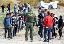 EE. UU. ha expulsado cerca de 600,000 extranjeros en diez meses