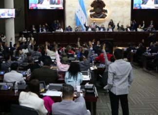 Diputados aprueban la Ley para la Prevención y Atención de Pacientes Oncológicos