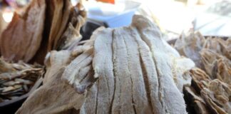 Prevén un aumento de precios del pescado cecina y robalo previo a la Semana Santa en Honduras