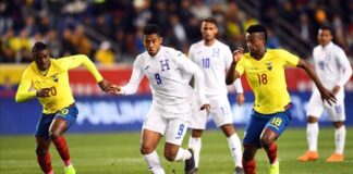 Argentina, Bolivia y Honduras, los tres rivales de Ecuador previos a la Copa América