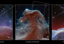 Telescopio James Webb capta la nebulosa «Cabeza de Caballo» con un detalle sin precedentes