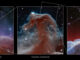 Telescopio James Webb capta la nebulosa «Cabeza de Caballo» con un detalle sin precedentes