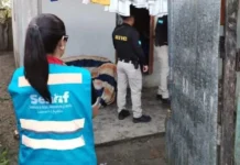 Rescatan a tres menores víctimas de presunta explotación sexual en La Ceiba