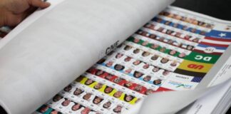 En septiembre, el CNE convocará a elecciones y en enero de 2025 comenzará la propaganda electoral