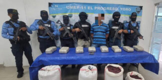 Policía Nacional arresta a conductor de bus por llevar 39 paquetes de marihuana ocultos en sacos con frijoles