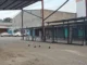 Vacía amanece la terminal de buses en SPS tras asesinato de operario