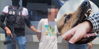 Hombre mata a su vecino luego de que este le reclamara que había sido mordido por su perro en SPS