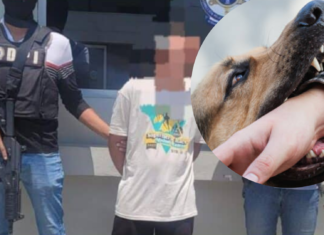 Hombre mata a su vecino luego de que este le reclamara que había sido mordido por su perro en SPS