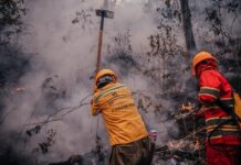 Más de 109 mil hectáreas han sido devastadas por incendios forestales en Honduras