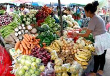 La actividad económica de Honduras creció un 5,1 % en los primeros dos meses de 2024