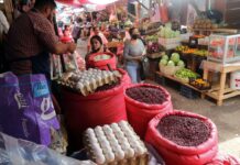 El Gerente de Política Económica del Cohep señala que El 17% de ingresos de las familias provienen del emprendimiento y 7% de las remesas