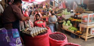 El Gerente de Política Económica del Cohep señala que El 17% de ingresos de las familias provienen del emprendimiento y 7% de las remesas