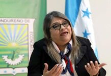 Presidenta del Colegio de Economistas pide estar alertas por reducción de reservas y aumento en demanda de divisas