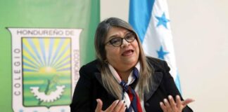 Presidenta del Colegio de Economistas pide estar alertas por reducción de reservas y aumento en demanda de divisas