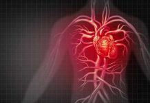 Hallan una posible vía para remediar el daño al corazón de la medicación contra el cáncer