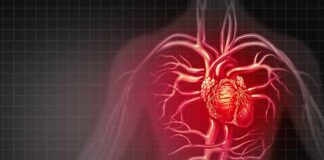 Hallan una posible vía para remediar el daño al corazón de la medicación contra el cáncer