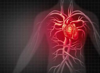 Hallan una posible vía para remediar el daño al corazón de la medicación contra el cáncer