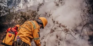 Once incendios forestales están activos a nivel nacional este sábado, según reportes del ICF