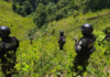Honduras incautó 2,9 millones de plantas de coca y 1.377 kilos de cocaína en tres meses
