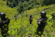 Honduras incautó 2,9 millones de plantas de coca y 1.377 kilos de cocaína en tres meses