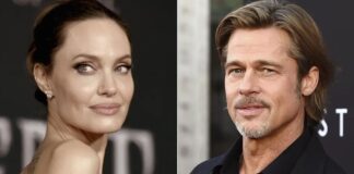 Angelina Jolie acusa a Brad Pitt en una demanda de maltratarla físicamente