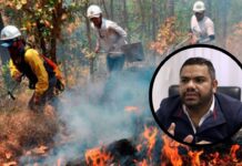 El ICF confirma que alrededor de 30 incendios forestales están activos en el país