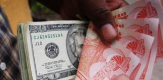 Las remesas familiares en Honduras disminuyeron levemente en el primer trimestre de 2024