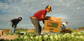 EE.UU. amplía la vigencia de los permisos de trabajo de unos 800.000 inmigrantes