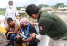 Agentes hallan a 88 migrantes en dos acciones en estados mexicanos de Veracruz y Oaxaca
