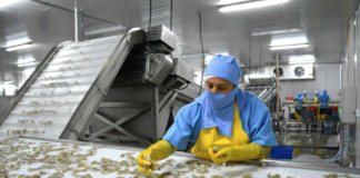 Rodolfo Pastor revela que los camaroneros pidieron al Gobierno establecer relaciones con China porque Taiwán ya no era rentable