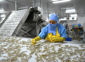 La ANDAH reitera que la industria camaronera enfrenta una crisis sin precedentes y solicita la acción urgente del Gobierno