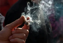 EE. UU. registra por primera vez más consumidores diarios de cannabis que de alcohol