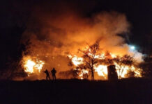 CONADEH: «Prevención de incendios debe ser una prioridad de interés nacional del Estado hondureño»