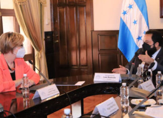 Luis Redondo rechaza recomendación de Laura Dogu sobre Tribunal Constitucional «Lo que diga me tiene sin cuidado»